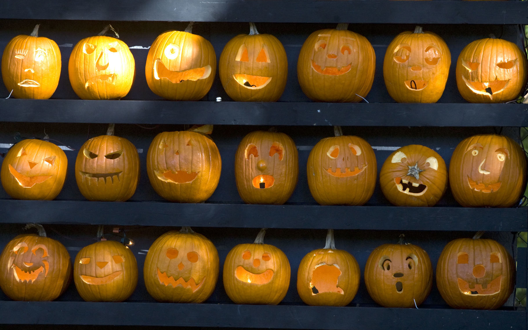 9 Pumpkin Wall.jpg